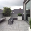Bamboe Buxus en gras